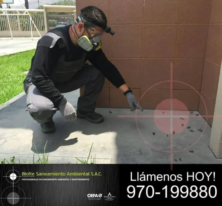 468322019_3898985290420187_7863973962787352430_n_11zon