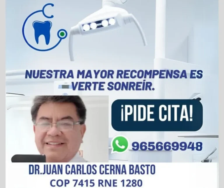 Diseño sin título - 2024-11-28T191939.028