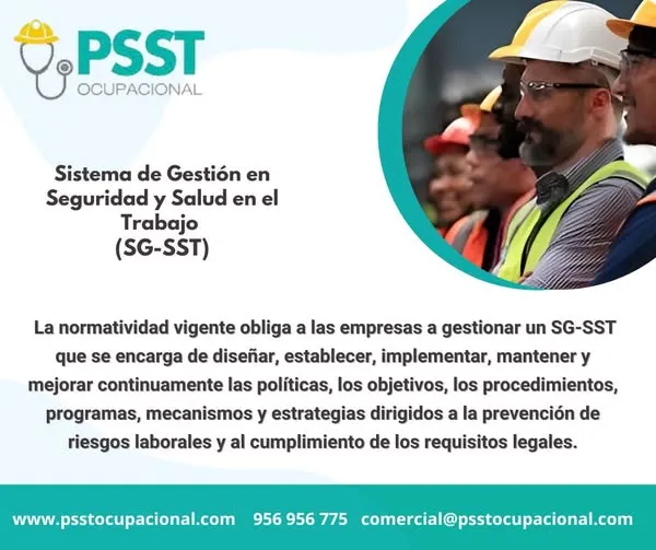 Tato Valdivieso_11zon